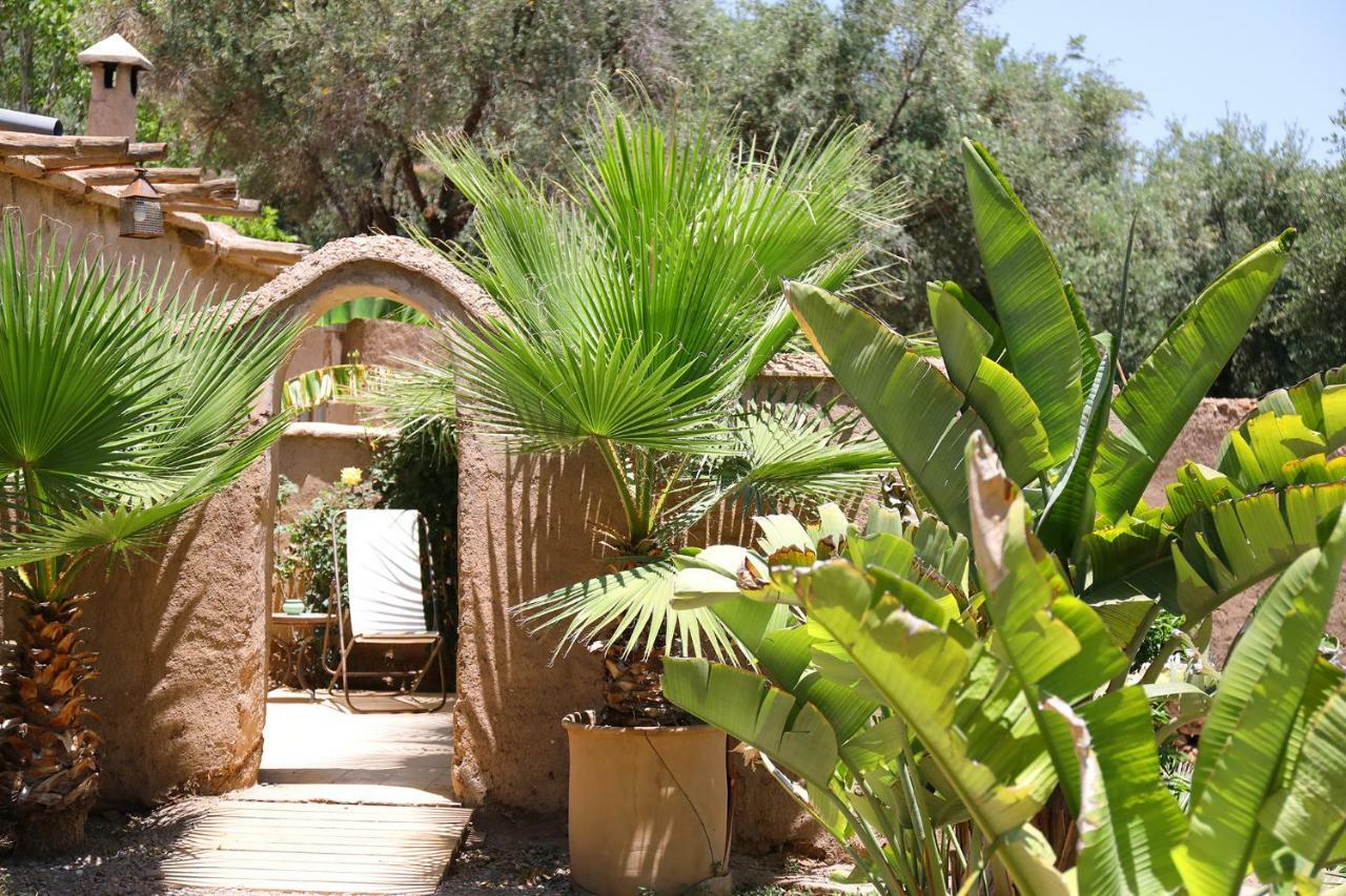 لالا تاكركوست Le Petit Hotel Du Flouka المظهر الخارجي الصورة