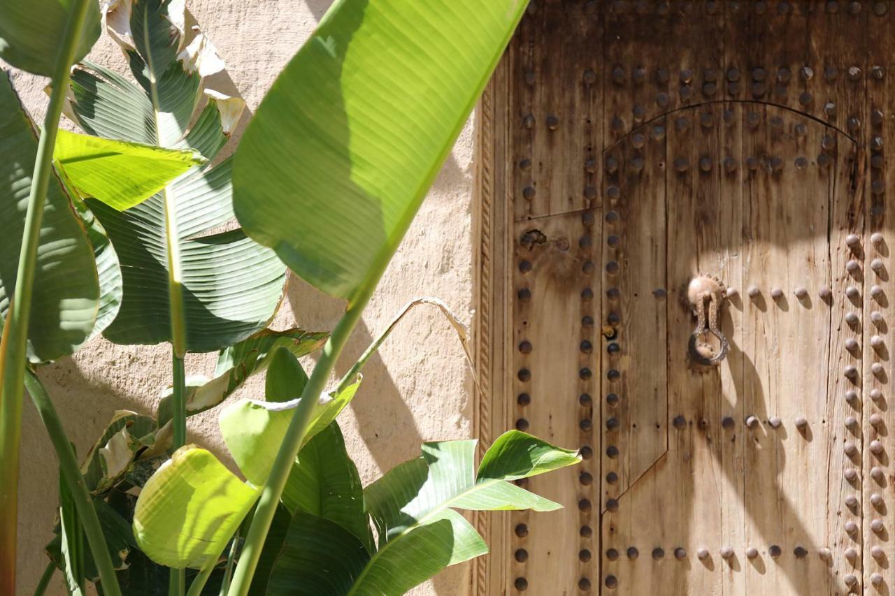 لالا تاكركوست Le Petit Hotel Du Flouka المظهر الخارجي الصورة